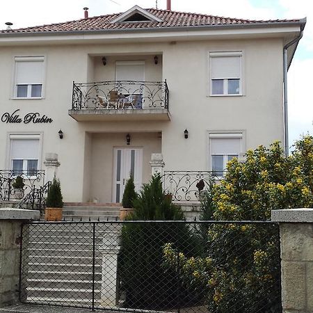 Villa Rubin Panzio Hajdúszoboszló Buitenkant foto