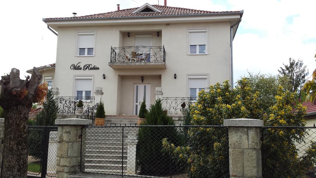 Villa Rubin Panzio Hajdúszoboszló Buitenkant foto